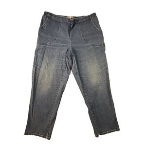 Level Eight Womens 1X (35.5x26.75) Blue Pull On Stretch Elastic Waist Plus Jeans